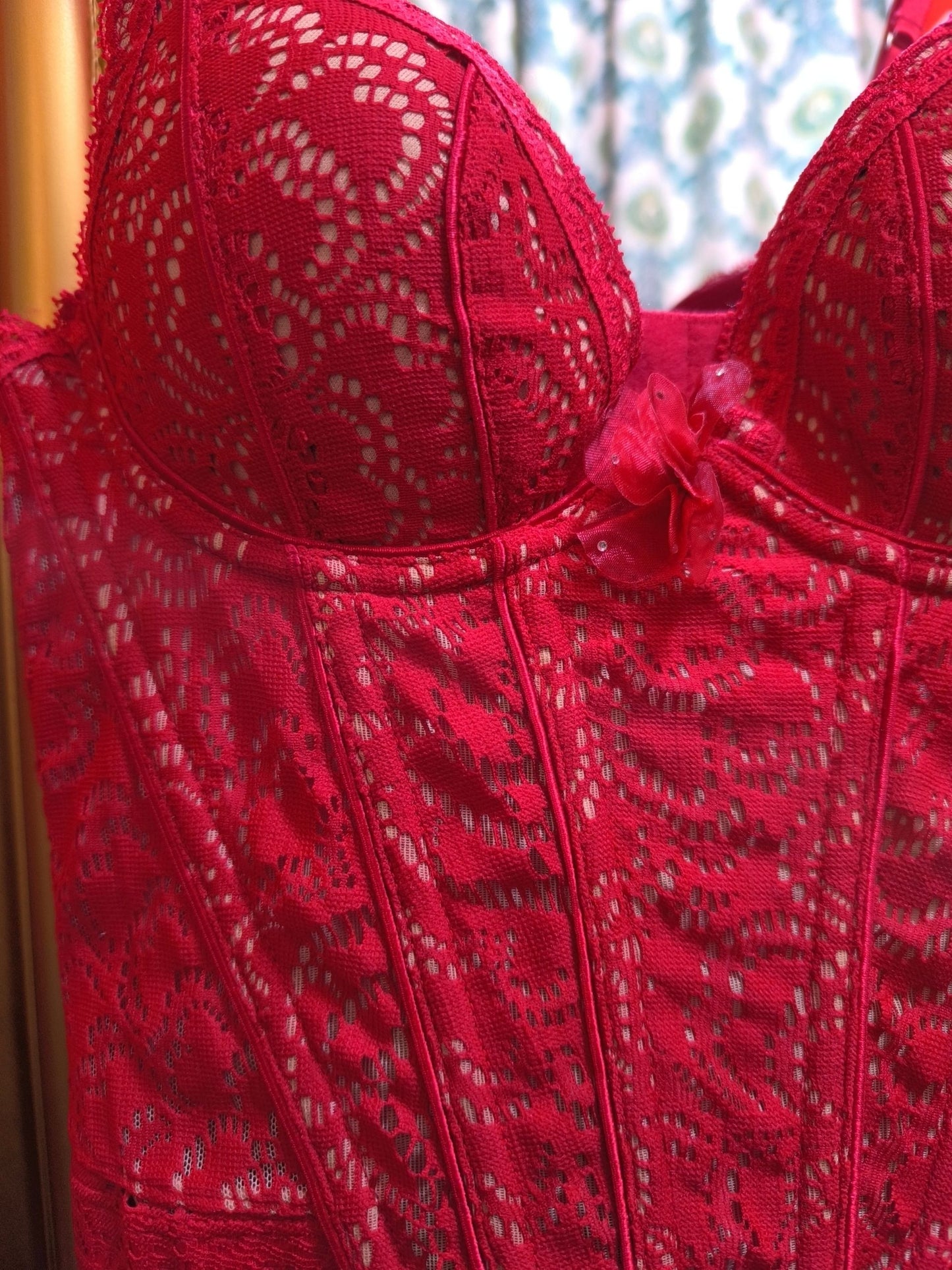 Pleasure State Red Lace Corset Bustier – White Label Collection